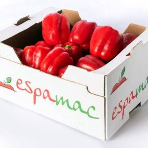 Fresh Red Pepper Box 4kg