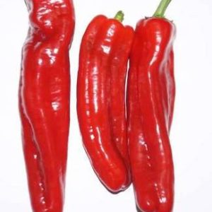 Fresh Long Red Pepper 400g