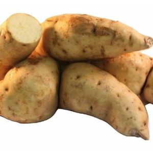 Fresh White African (Uganda) Sweet Potato