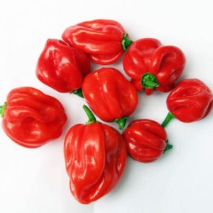 Fresh Hot Pepper 100g